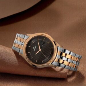 Titan Brown Dial Analog with Day and Date Stainless Steel Strap Watch for Men