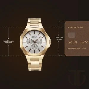 Titan Classic Slim Multifunction Multifunction Silver Dial Carnation Gold Stainless Steel Strap Watch For Men