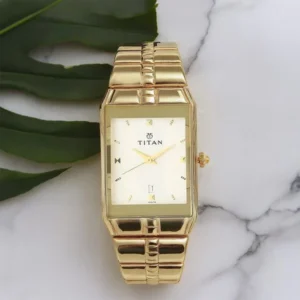 Titan Analog with Date Silver Dial Metal Strap watch for Men