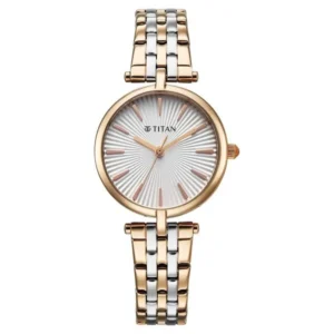 Titan Work Mode Quartz Analog Silver Dial Two Toned Metal Strap Watch For Women