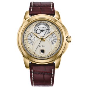 Citizen Calendrier BU0082-06P Eco-Drive